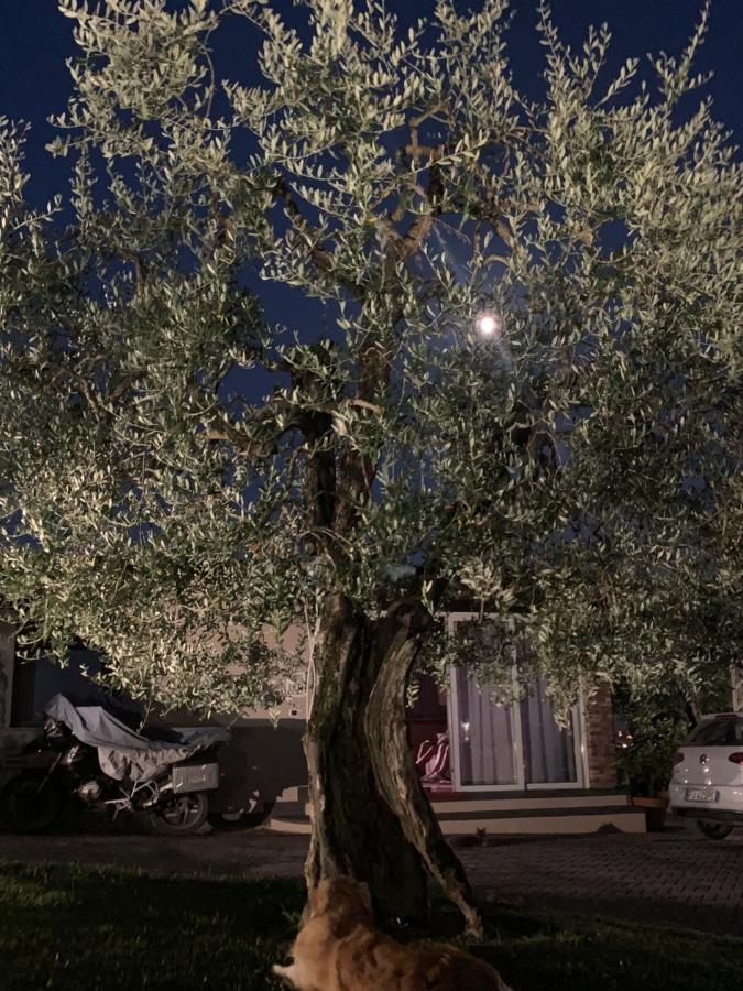 Locazione Turistica Casa Olivo Apartment Fucecchio Exterior foto
