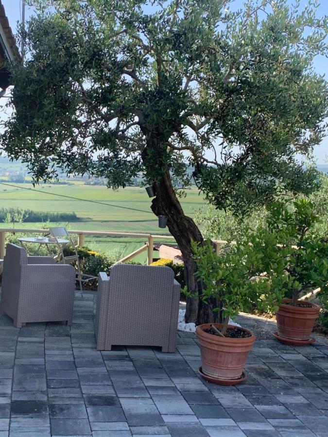 Locazione Turistica Casa Olivo Apartment Fucecchio Exterior foto